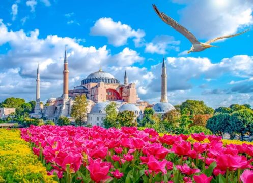 Фестивал на Лалетата в Истанбул