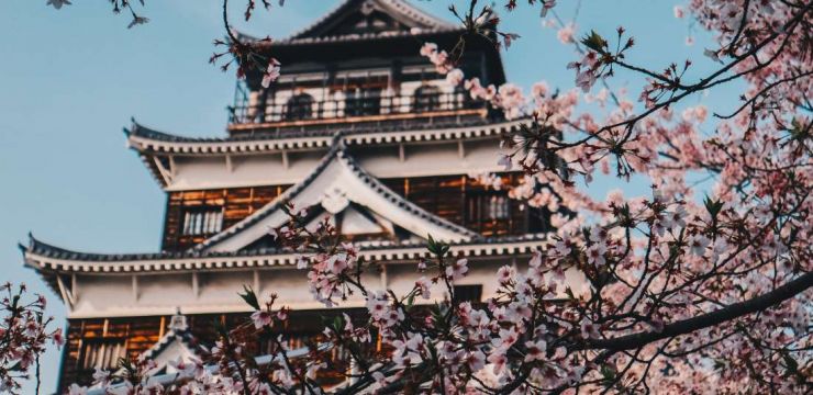 Величието на Япония по време на цъфтежа на вишните - вариант 1