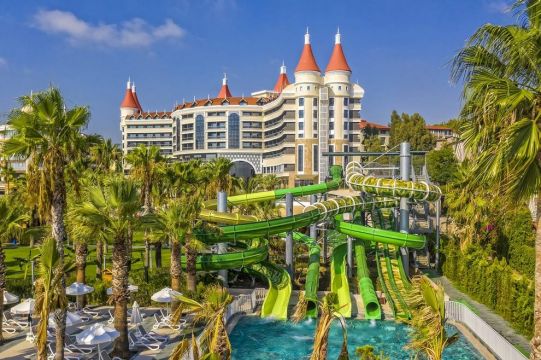 Leodikya Kirman Premium