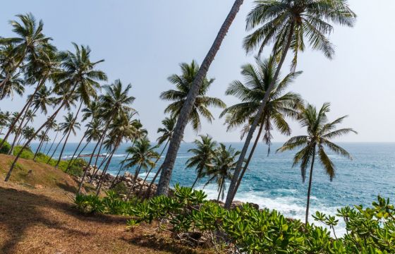 Екскурзия в ШРИ ЛАНКА - класически тур и почивка, с водач от България!