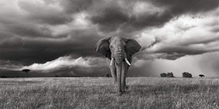 ЮЖНА АФРИКА, ЗИМБАБВЕ с водопада ВИКТОРИЯ, БОТСВАНА И НАМИБИЯ - 01.05.2026, 18.09.2026, 09.10.2026, 13.11.2026, 04.12.2026