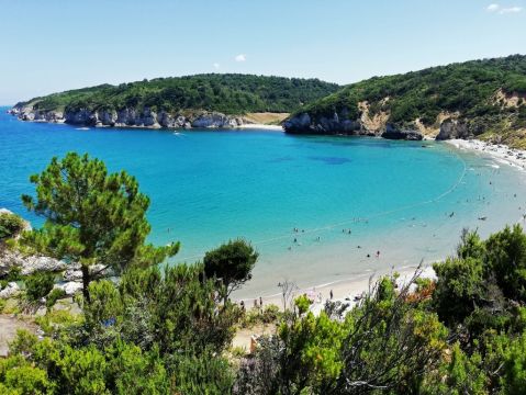 Почивка в Дидим, Турция с автобус от В. Търново - 7 нощувки