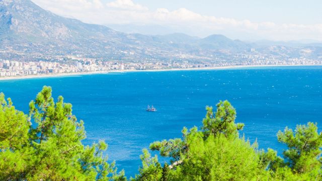 VILLA SUNFLOWER HOTEL