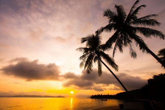 Почивка в Дидим, Турция с автобус от Варна - 9 нощувки